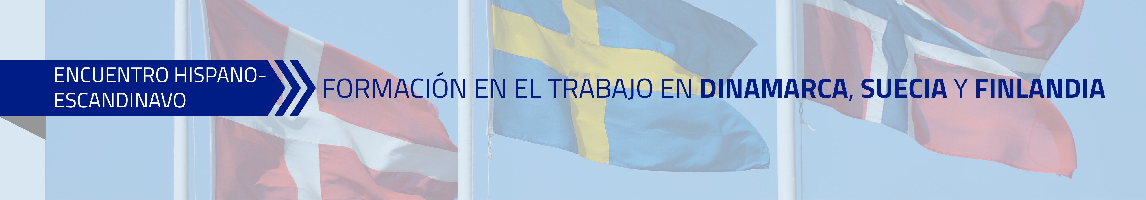 FORMACIÓN EN EL TRABAJO EN DINAMARCA, SUECIA Y FINLANDIA