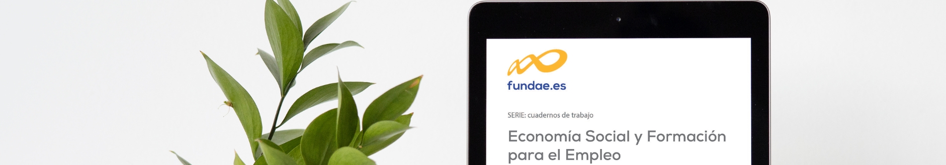 Cuaderno de Trabajo-Economía Social 3/2025