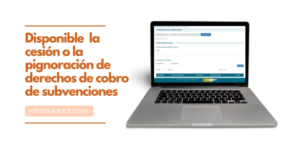 Noticia