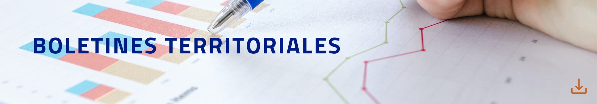 Boletines Territoriales 2022