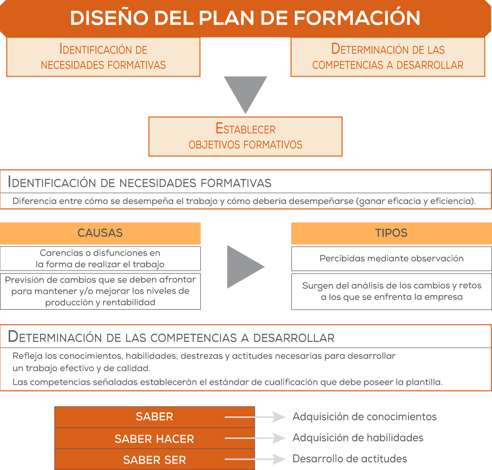 Diseño del plan de formación