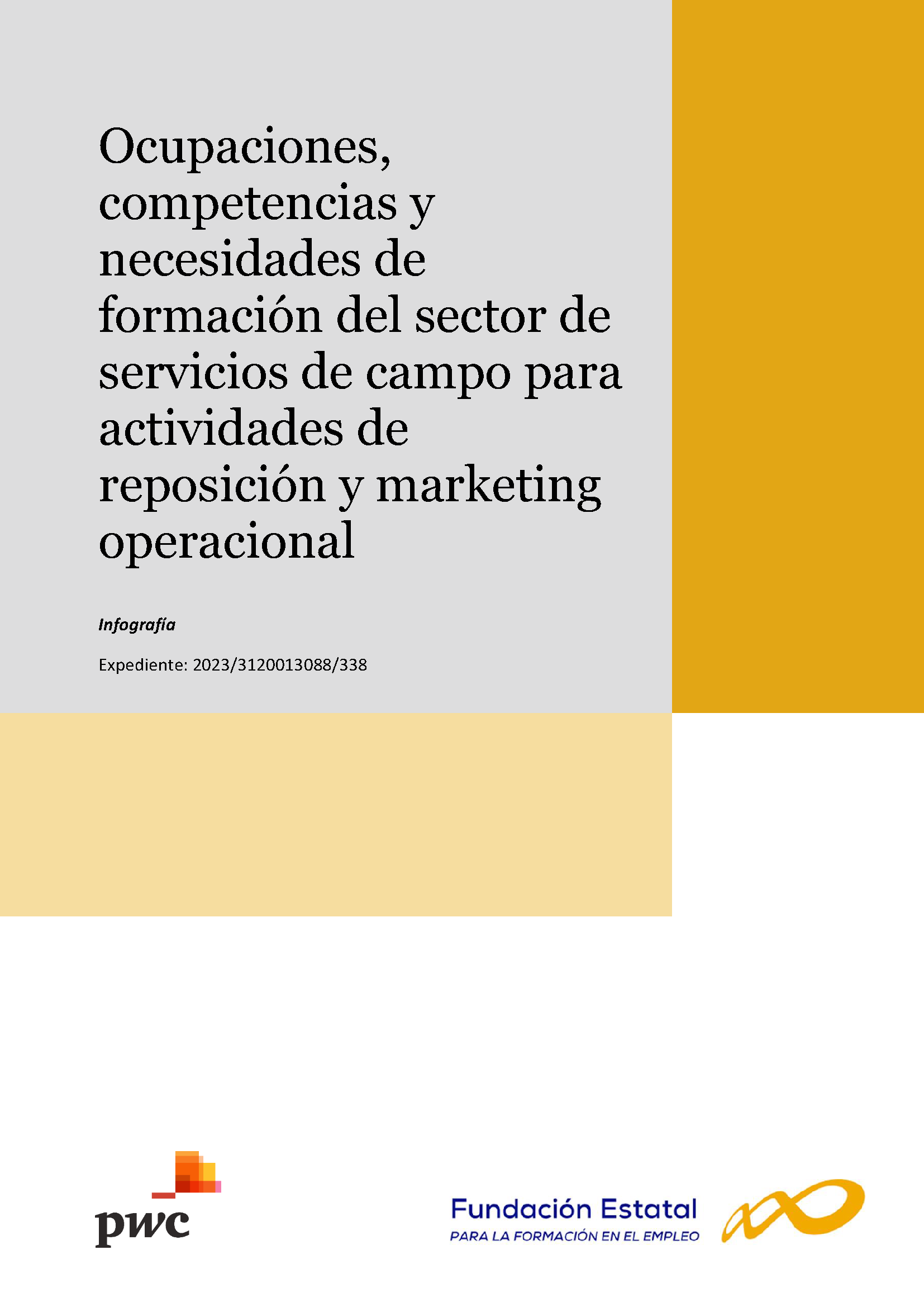 Portada informe