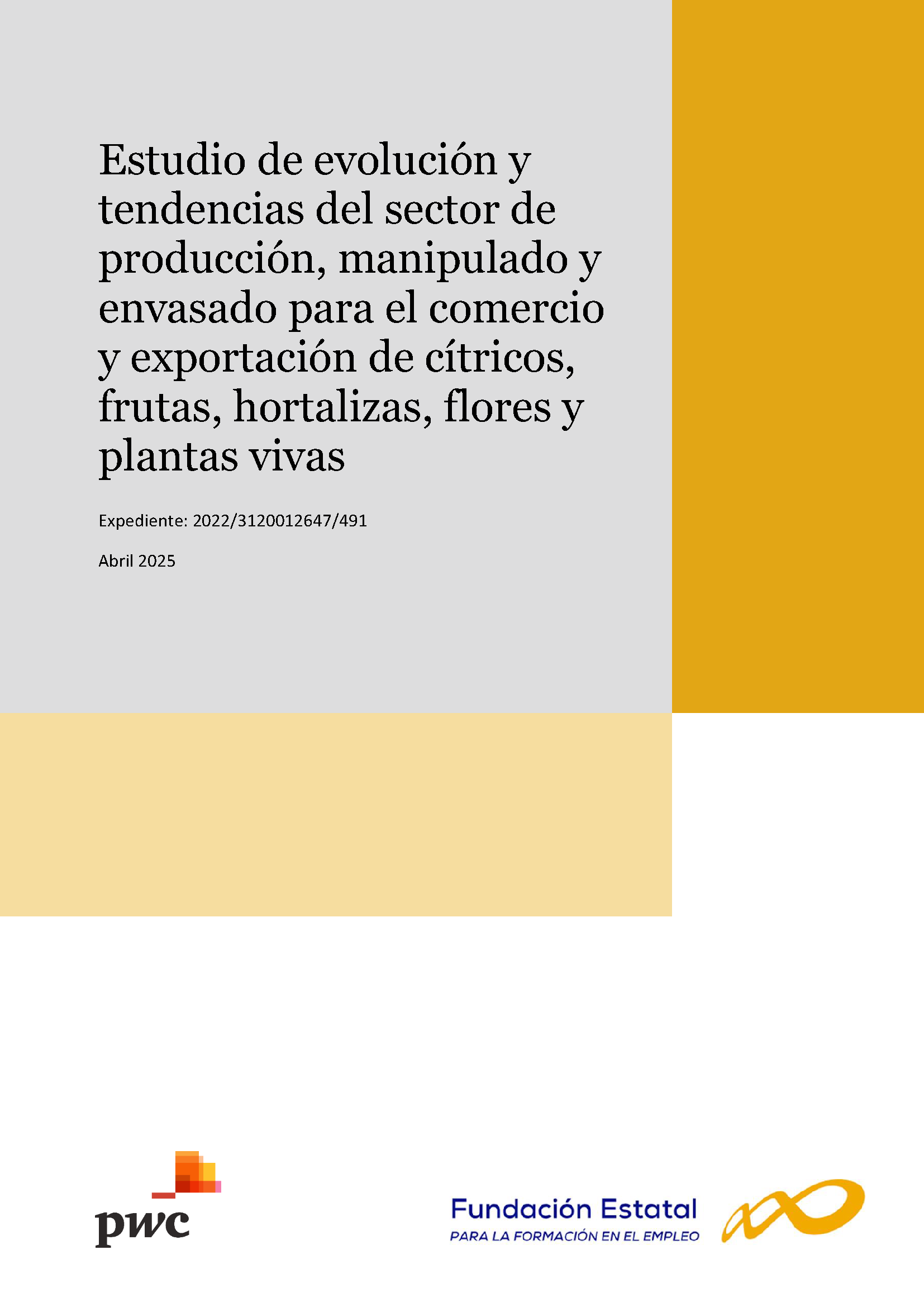Portada informe